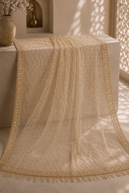 Golden Embellished Sequin Mono Net Saree